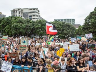 Wellington Climate Strike by David Tong