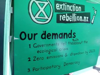 Extinction rebellion demands